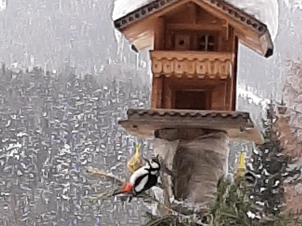 Pension Fuerhapter Mit Bio- Bauernhof Sankt Jakob in Defereggen Esterno foto