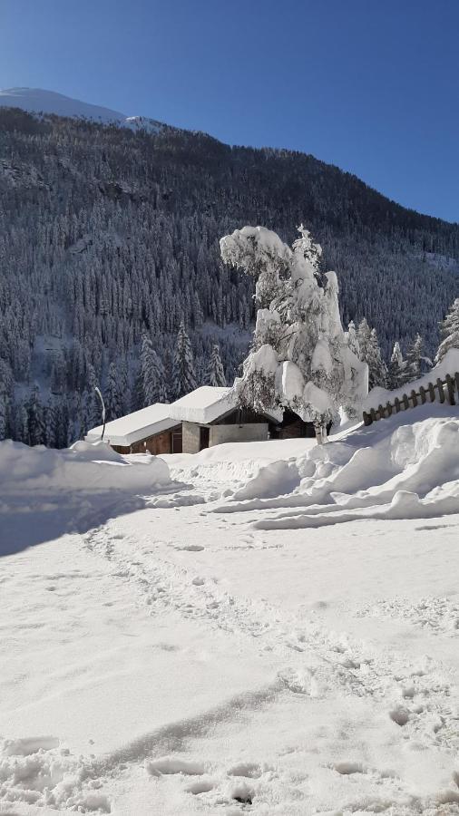 Pension Fuerhapter Mit Bio- Bauernhof Sankt Jakob in Defereggen Esterno foto